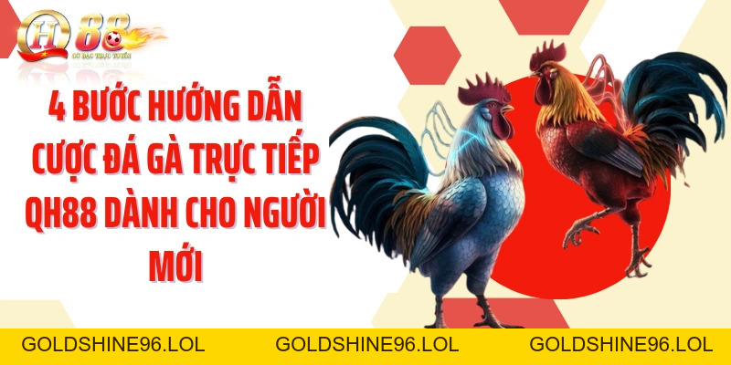 Hướng Dẫn Cược Đá Gà Trực Tiếp QH88: Đọc Trận Và Chọn Cửa - GOLDSHINE96