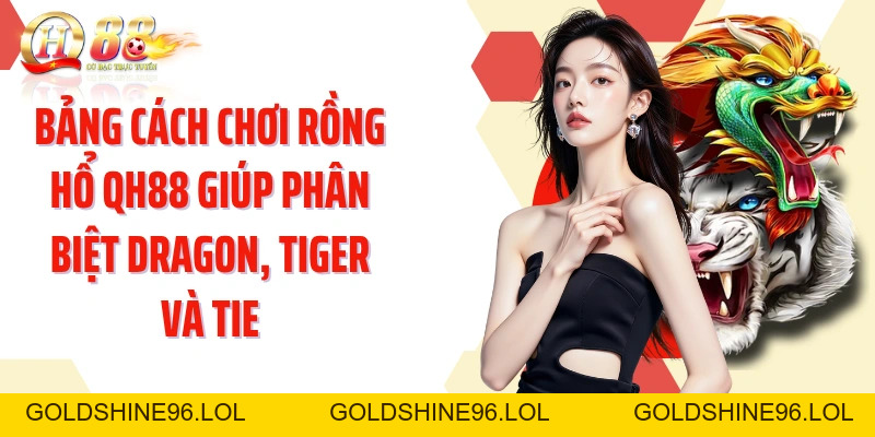 Cách Chơi Rồng Hổ QH88: Nắm Luật Nhanh Qua Từng Cửa Cược - GOLDSHINE96