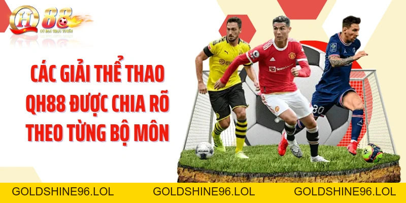 Thể Thao QH88: Theo Nhịp Trận Đấu Với Kèo Cập Nhật Liên Tục - GOLDSHINE96