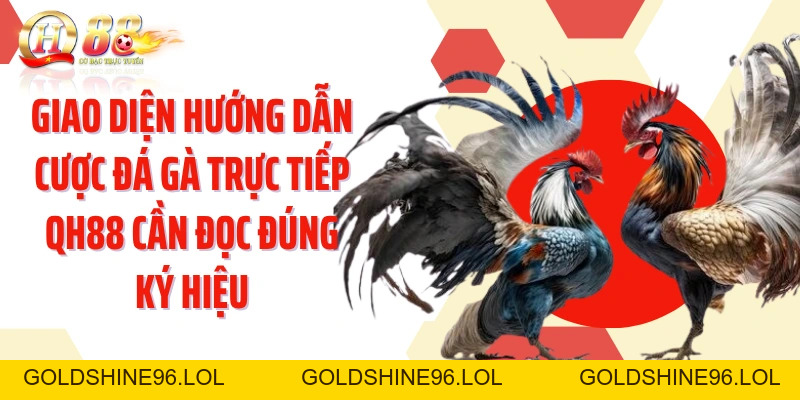 Hướng Dẫn Cược Đá Gà Trực Tiếp QH88: Đọc Trận Và Chọn Cửa - GOLDSHINE96