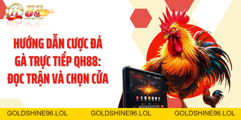 Hướng Dẫn Cược Đá Gà Trực Tiếp QH88: Đọc Trận Và Chọn Cửa - GOLDSHINE96
