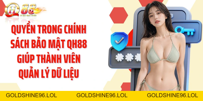 Chính Sách Bảo Mật QH88: Làm Rõ Cách Dữ Liệu Được Bảo Vệ - GOLDSHINE96