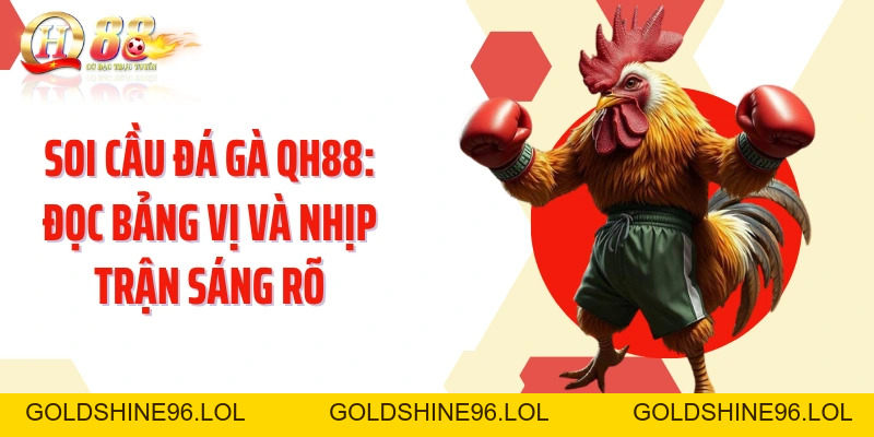 Soi Cầu Đá Gà QH88: Đọc Bảng Vị Và Nhịp Trận Sáng Rõ - GOLDSHINE96