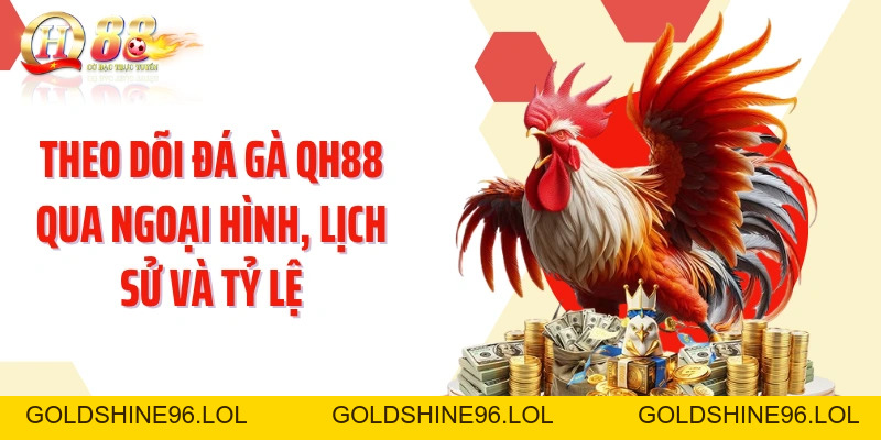 Đá Gà QH88: Theo Dõi Trận Kê Trực Tiếp Với Góc Quay Sắc Nét - GOLDSHINE96