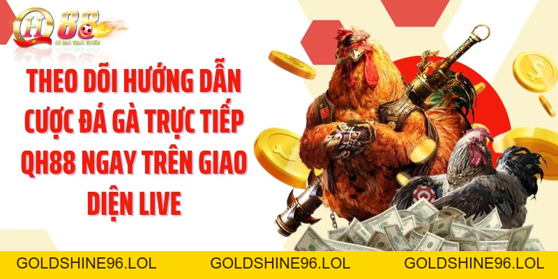 Hướng Dẫn Cược Đá Gà Trực Tiếp QH88: Đọc Trận Và Chọn Cửa - GOLDSHINE96
