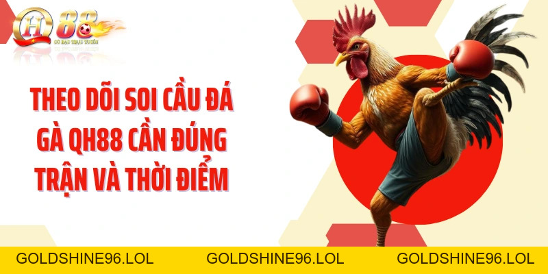 Soi Cầu Đá Gà QH88: Đọc Bảng Vị Và Nhịp Trận Sáng Rõ - GOLDSHINE96