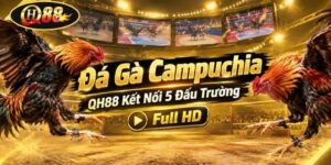 QH88 - goldshine96.lol | Trang Chủ QH88.COM Mới Nhất +789K - GOLDSHINE96