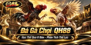 QH88 - goldshine96.lol | Trang Chủ QH88.COM Mới Nhất +789K - GOLDSHINE96