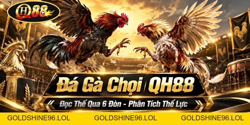 Đá Gà Chọi QH88 | Đọc Thế Qua 6 Đòn - Phân Tích Thể Lực - GOLDSHINE96