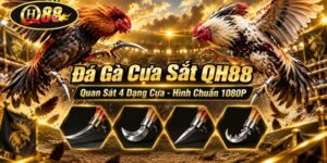 QH88 - goldshine96.lol | Trang Chủ QH88.COM Mới Nhất +789K - GOLDSHINE96