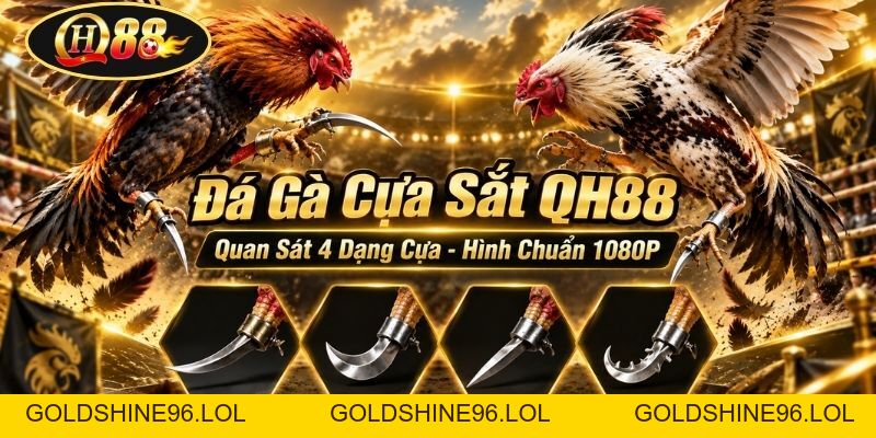 Đá Gà Cựa Sắt QH88 | Quan Sát 4 Dạng Cựa - Hình Chuẩn 1080P - GOLDSHINE96