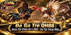 QH88 - goldshine96.lol | Trang Chủ QH88.COM Mới Nhất +789K - GOLDSHINE96