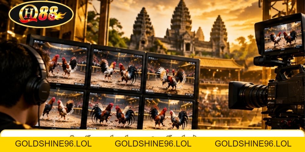 Đá Gà Campuchia | QH88 Kết Nối 5 Đấu Trường Full HD - GOLDSHINE96