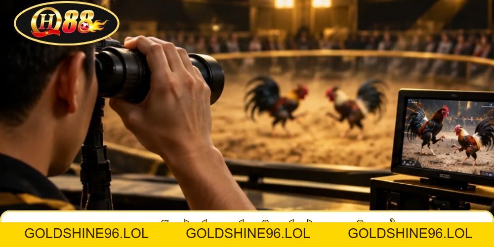 Đá Gà Chọi QH88 | Đọc Thế Qua 6 Đòn - Phân Tích Thể Lực - GOLDSHINE96